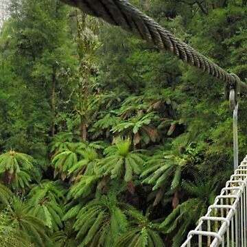 Artwork thumbnail, Tarra Bulga Suspension Bridge Victoria, Australia by Michael Boniwell