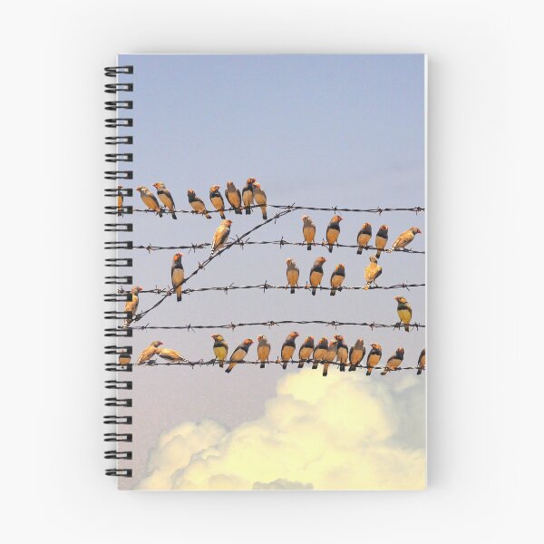 Item preview, BIRDSONG designed and sold by carol brandt.
