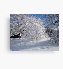 Glistening Trees ^ Canvas Print