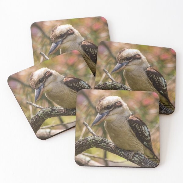 Item preview, Young Kookaburra Sitting in a Tree NSW Central Coast of Australia designed and sold by suziq1962.