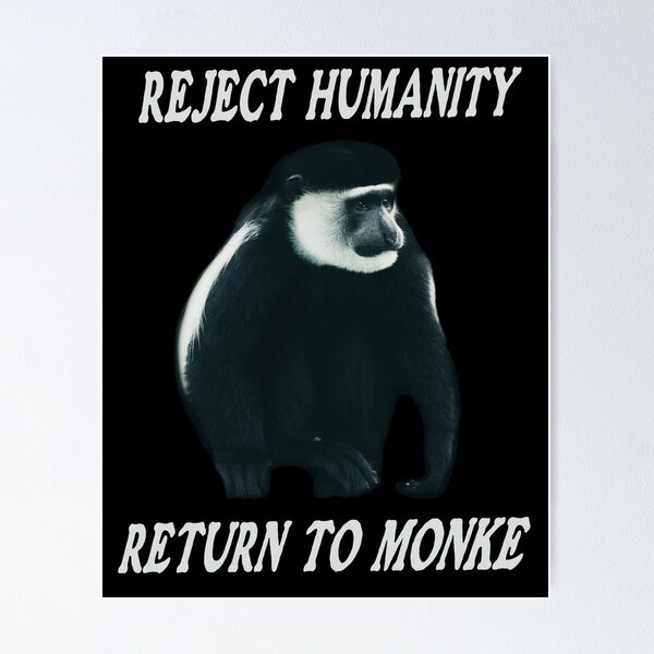 Le Monke Meme Poster for Sale by tttatia