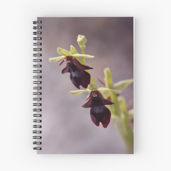 Item preview, Fly Orchid Mimicry designed and sold by DreamLand-Media.