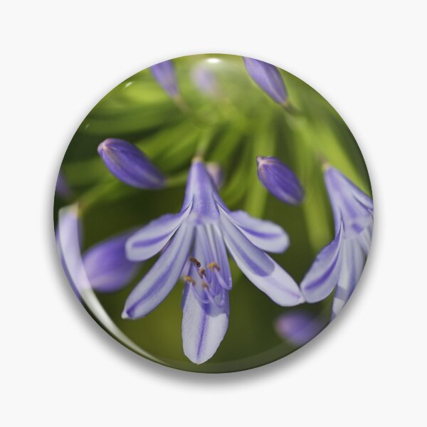 Item preview, Agapanthus Flower Face designed and sold by Joy Watson - Natural Light Photography .