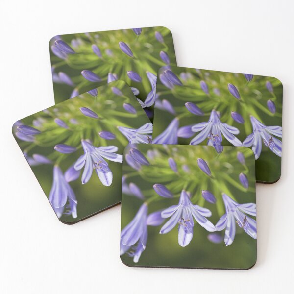 Item preview, Agapanthus Flower Face designed and sold by Joy Watson - Natural Light Photography .