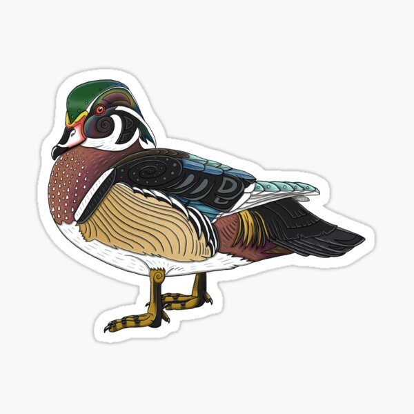 Aperçu de l'œuvre Canard branchu créée et vendue par Corvola Creations.