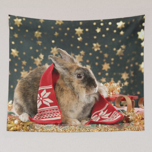 Item preview, Sweet dwarf rabbit wishes a Merry Christmas designed and sold by Toffy2222.