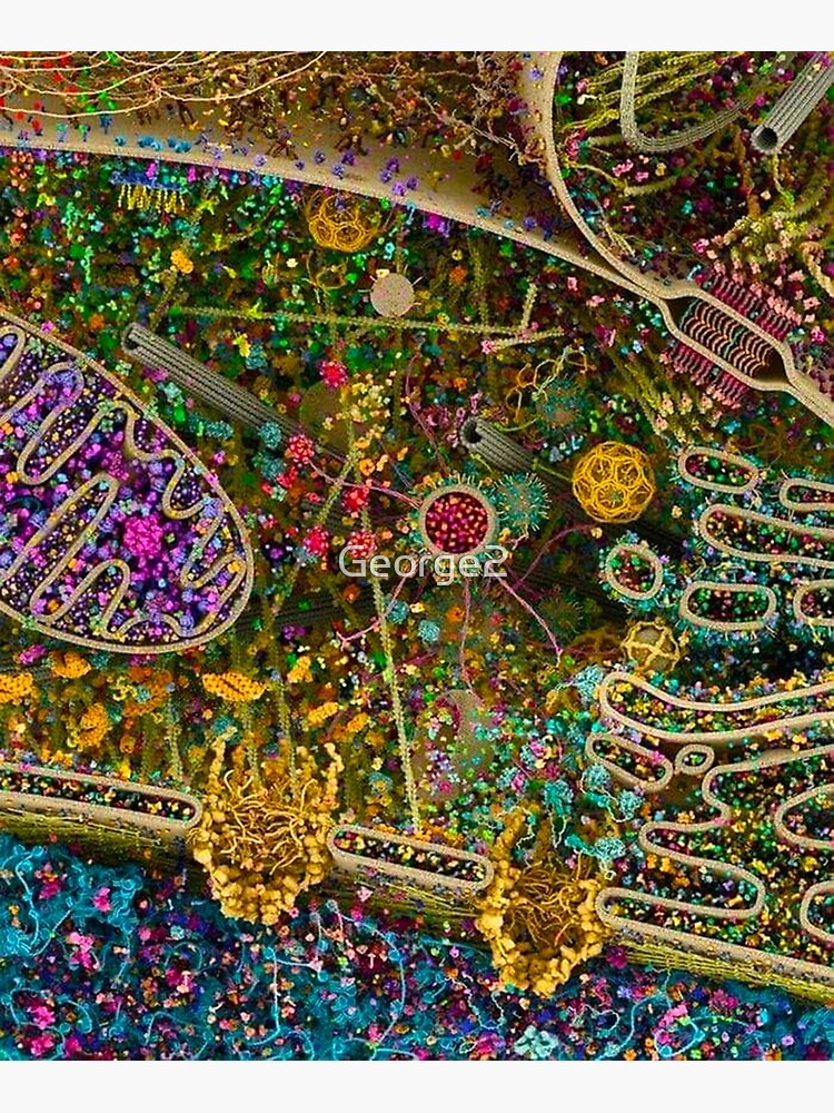 Human Cell detailed by George2