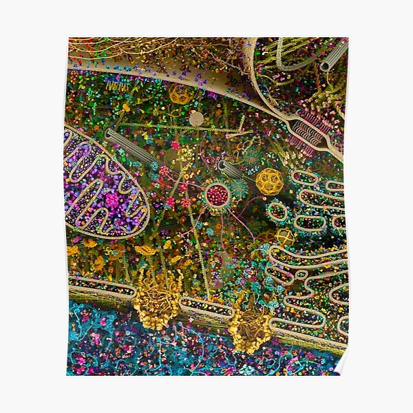 Human Cell detailed  Poster