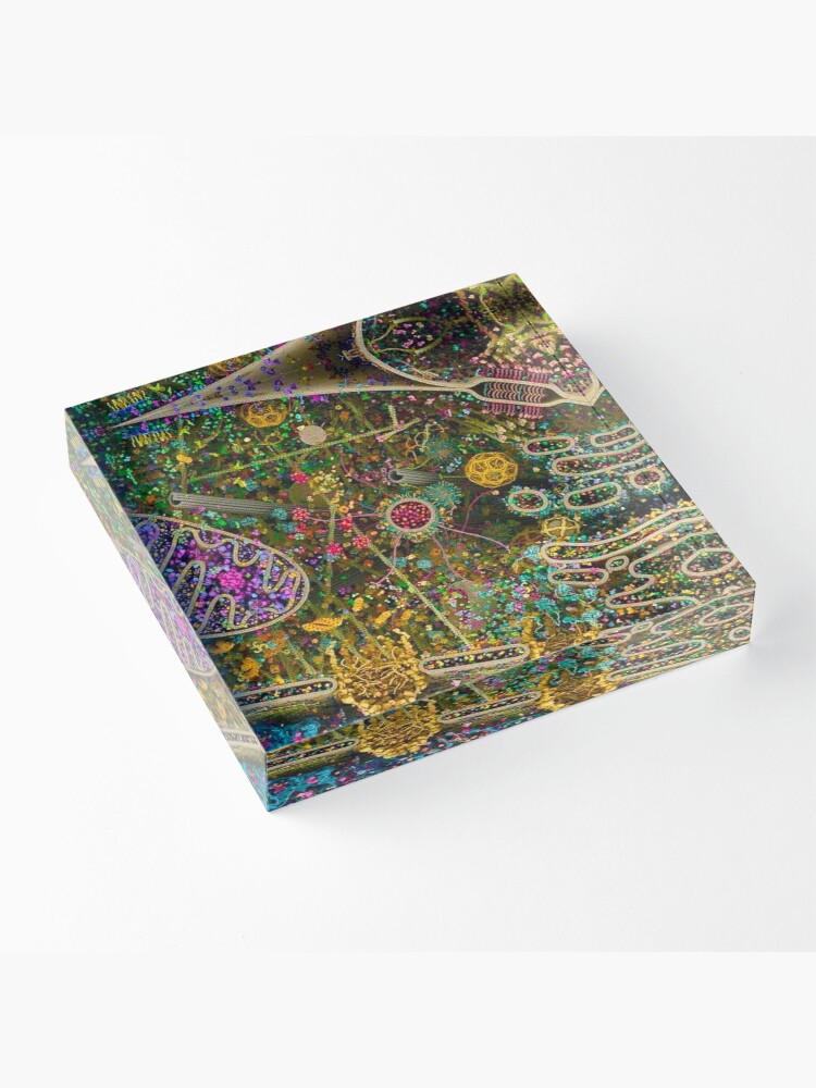Alternate view of Human Cell detailed Acrylic Block