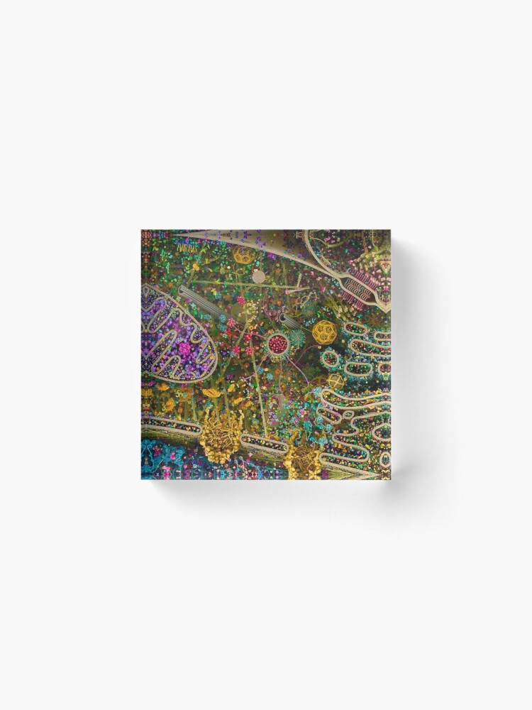 Alternate view of Human Cell detailed Acrylic Block