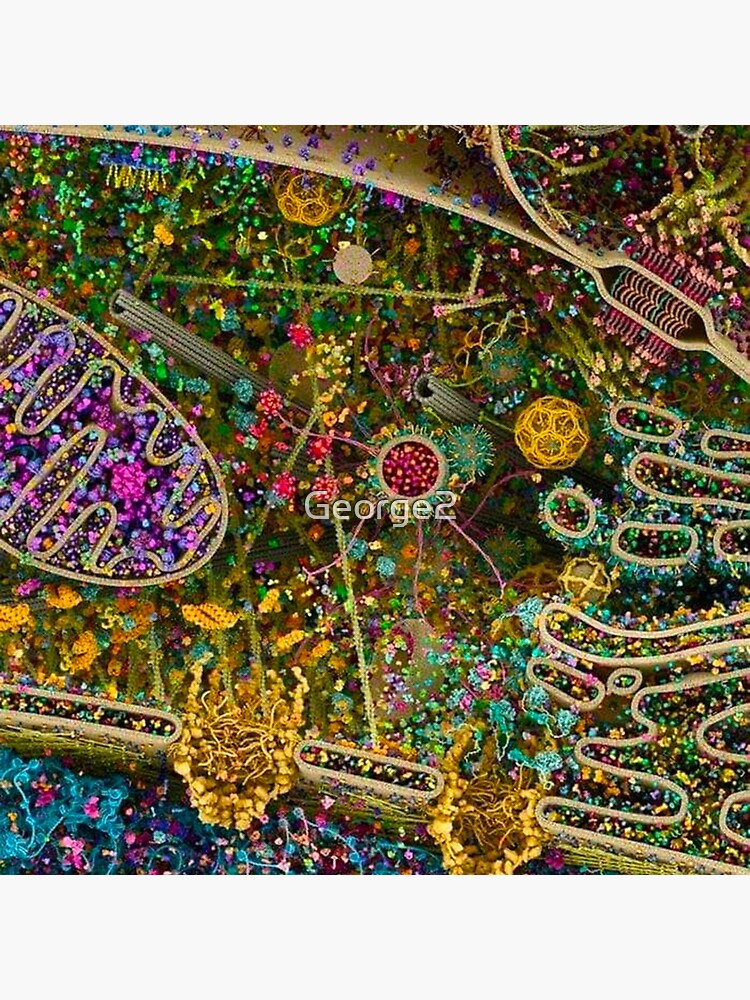 Human Cell detailed by George2