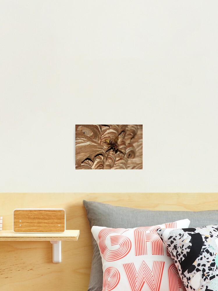 Fotodruck mit Hornisse am Nest. Faszinierend. Natur-Fotografie, designt und verkauft von Sonja-Haueisen