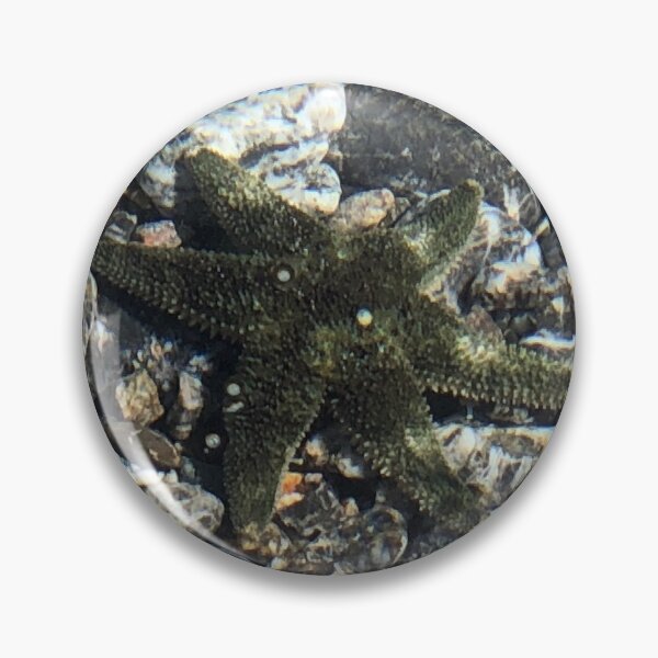 Item preview, Sea Star  designed and sold by FridayHarborMan.