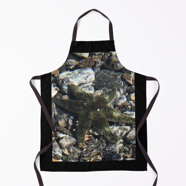Item preview, Sea Star designed and sold by FridayHarborMan.