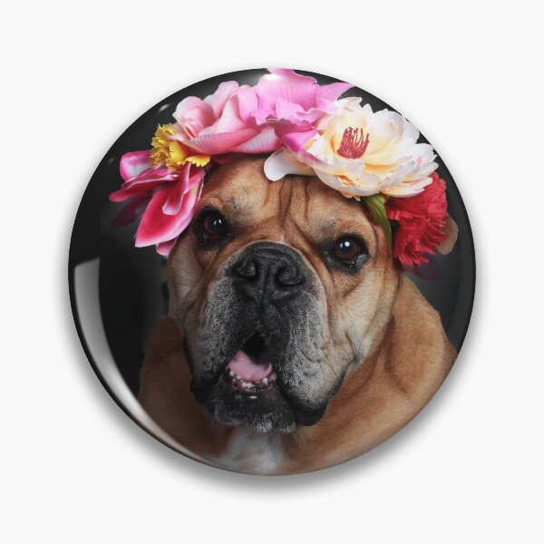 Item preview, Continental bulldog dog with flower wreath designed and sold by Toffy2222.