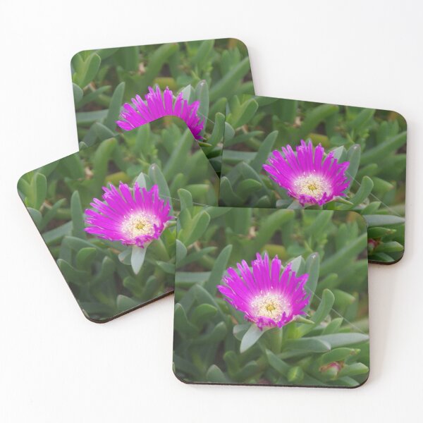 Item preview, Carpobrotus rossii (Pigface flower) designed and sold by lezvee.