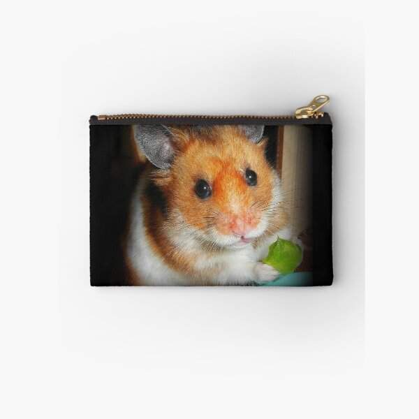 Item preview, Hamster Barney designed and sold by SkatingGirl.