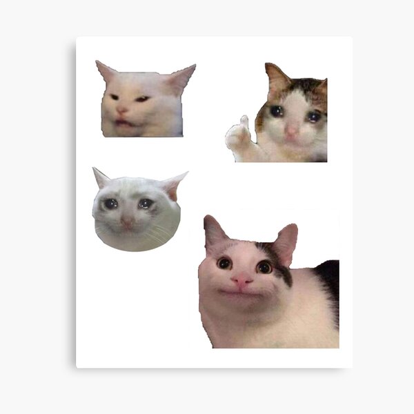 An image of the classic crying cat meme printed on anything you want to  purchase:). Thank you, money goes towards colleg…