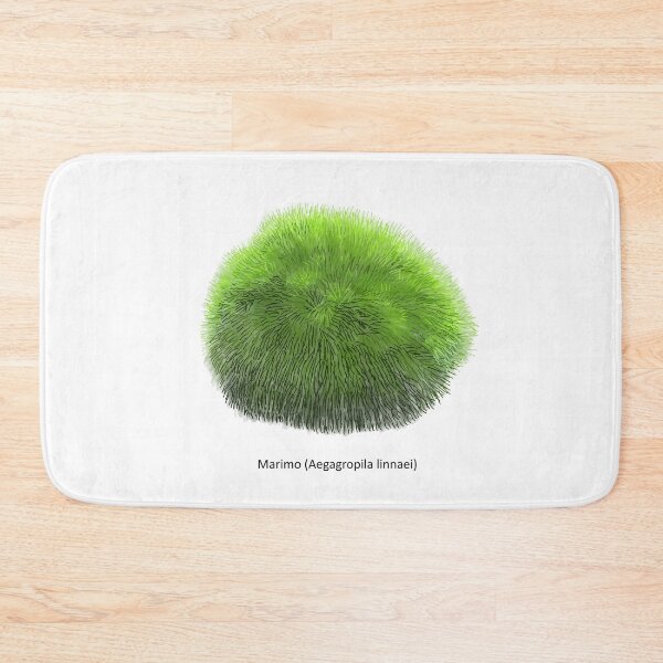 Item preview, Aegagropila linnaei, known as Marimo, Ball seaweed, Cladophora ball, Lake ball, Mossimo or Moss Balls, species of filamentous green algae (Chlorophyta). Hand drawn vector illustration, isolated designed and sold by Familyshmot.