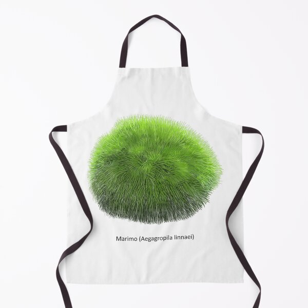 Item preview, Aegagropila linnaei, known as Marimo, Ball seaweed, Cladophora ball, Lake ball, Mossimo or Moss Balls, species of filamentous green algae (Chlorophyta). Hand drawn vector illustration, isolated designed and sold by Familyshmot.