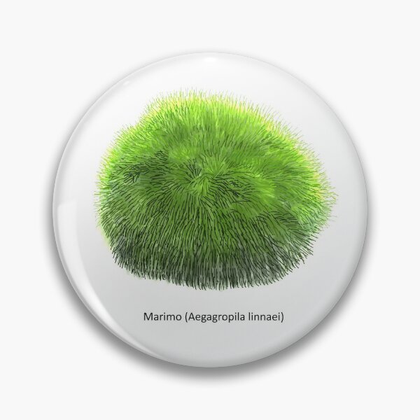 Item preview, Aegagropila linnaei, known as Marimo, Ball seaweed, Cladophora ball, Lake ball, Mossimo or Moss Balls, species of filamentous green algae (Chlorophyta). Hand drawn vector illustration, isolated designed and sold by Familyshmot.