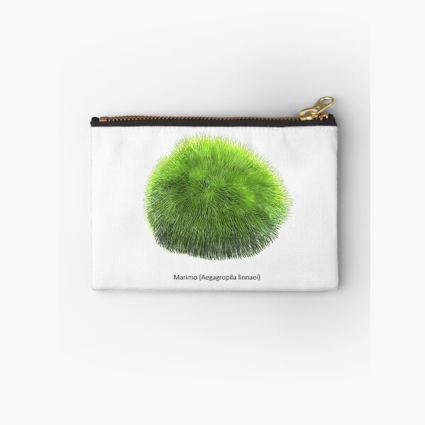 Item preview, Aegagropila linnaei, known as Marimo, Ball seaweed, Cladophora ball, Lake ball, Mossimo or Moss Balls, species of filamentous green algae (Chlorophyta). Hand drawn vector illustration, isolated designed and sold by Familyshmot.