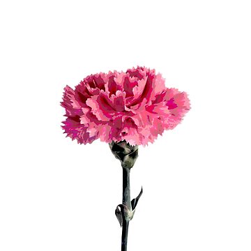 Artwork thumbnail, Psychedelic carnation by Sara Sadler