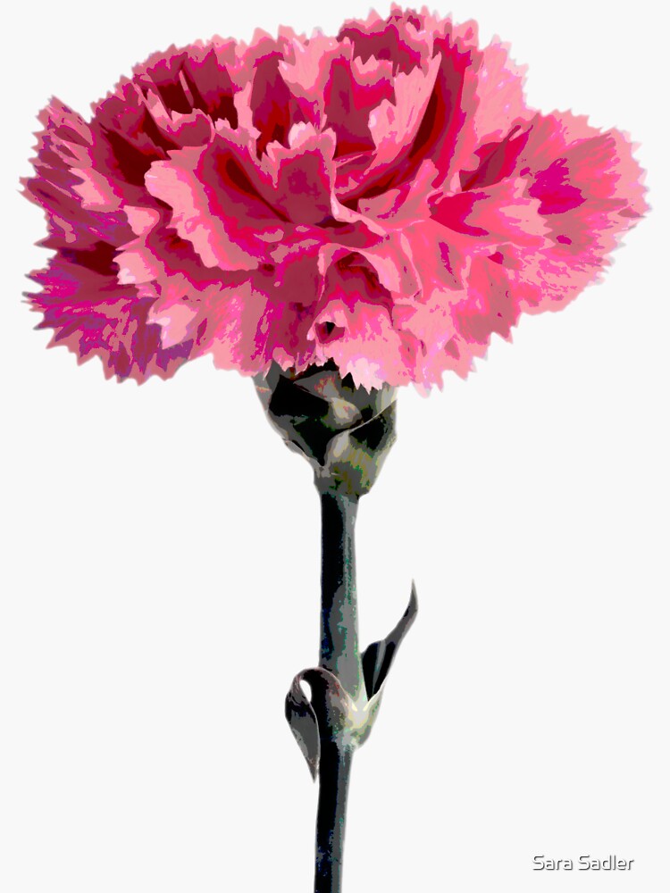 Thumbnail 3 of 3, Sticker, Psychedelic carnation designed and sold by sadler2121.