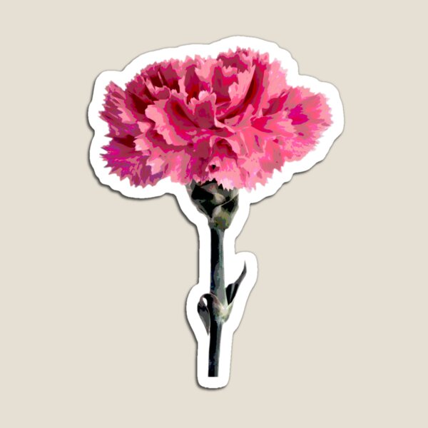 Psychedelic carnation Magnet