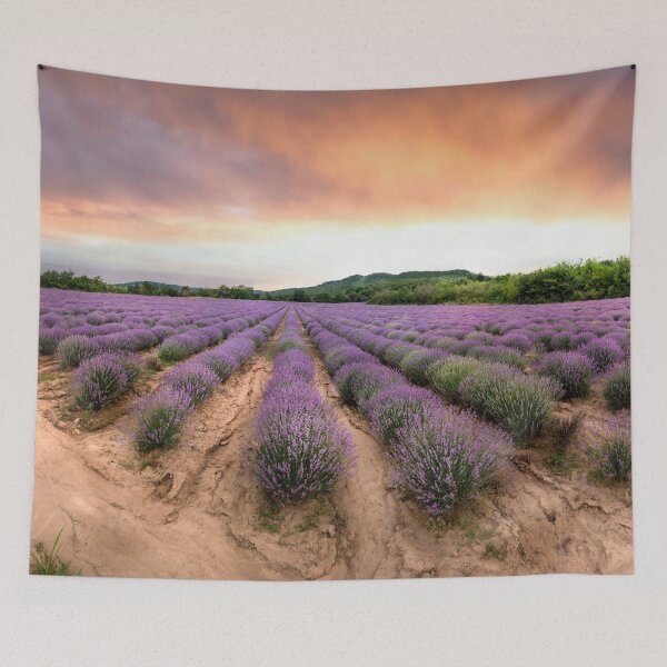 Item preview, Lavender field at sunset designed and sold by mitzobs.