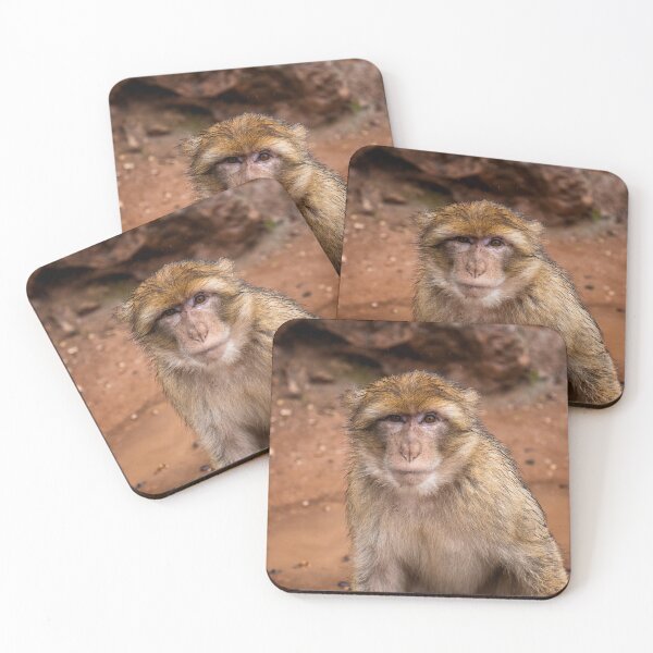 Item preview, Barbary Macaque Monkey designed and sold by mitzobs.