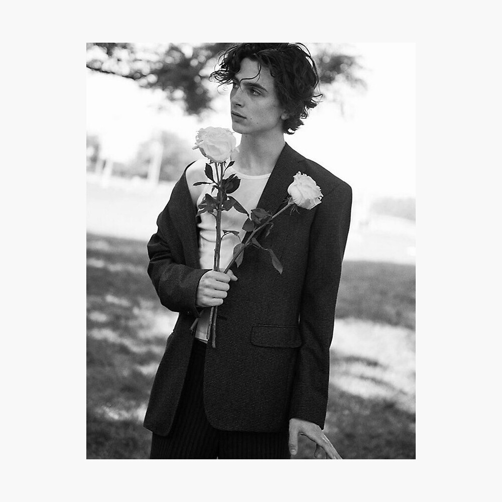 Timothée Chalamet Archives - 1stDibs Introspective