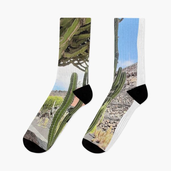 Item preview,  cactus,cactus garden,lanzarote,Tropical Botanical Exotic Palm canary  Island Jungle Paradise  designed and sold by ADAMYASS.