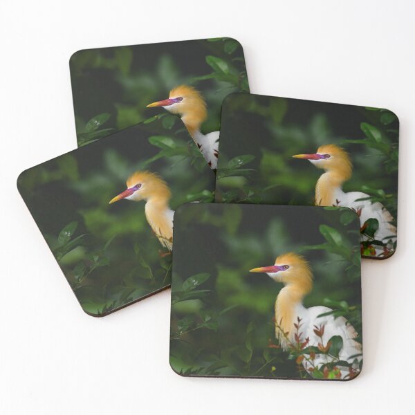 Item preview, Cattle Egret in the Trees designed and sold by Ryan  Ten.