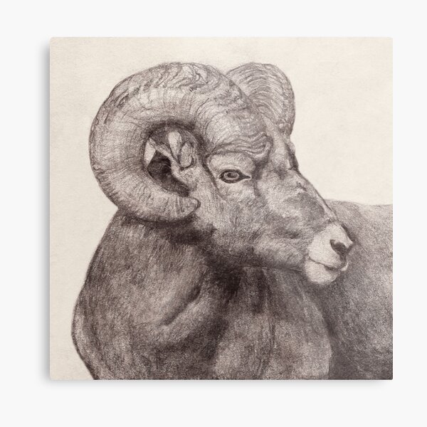 Item preview, Ram Head pencil designed and sold by Nathaniel Batthany.
