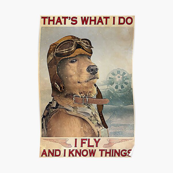 Golden Retriever Pilot That's What I Do I Fly And I Know Things Poster