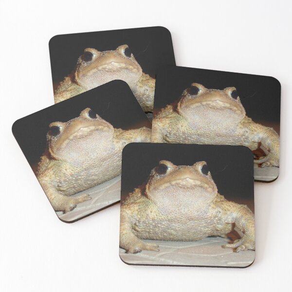 Item preview, Common European Toad Photograph Portrait designed and sold by taiche.