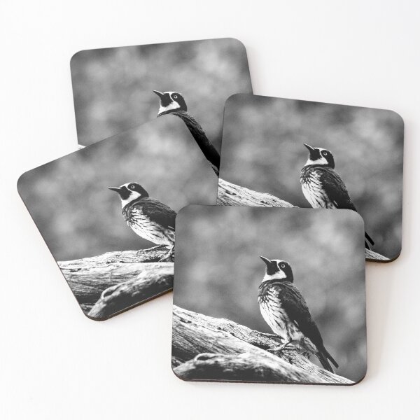 Item preview, Little Bird Black an White Vintage Nature Picture designed and sold by inurey.