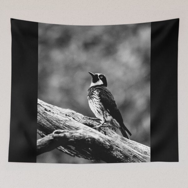 Item preview, Little Bird Black an White Vintage Nature Picture designed and sold by inurey.