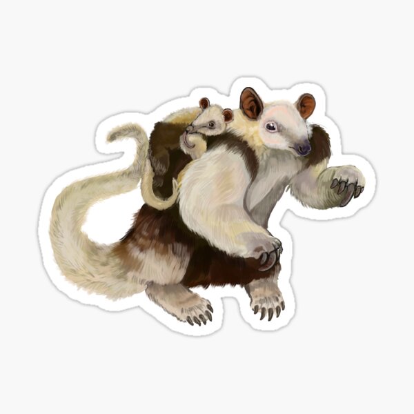 Tamandua cartoon illustration Sticker for Sale by Misscartoon