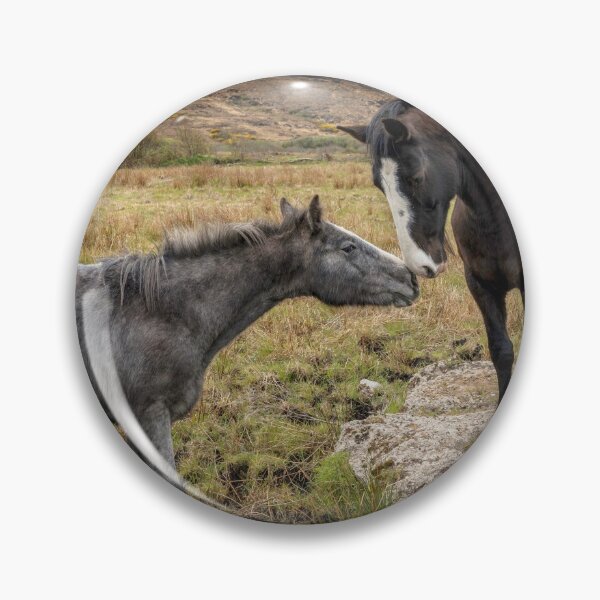Item preview, Two Irish Horses Kissing designed and sold by cmphotographs.
