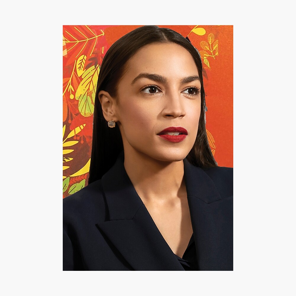 Alexandria Ocasio Cortez AOC Official Portrait Photo Cool Wall Decor ...