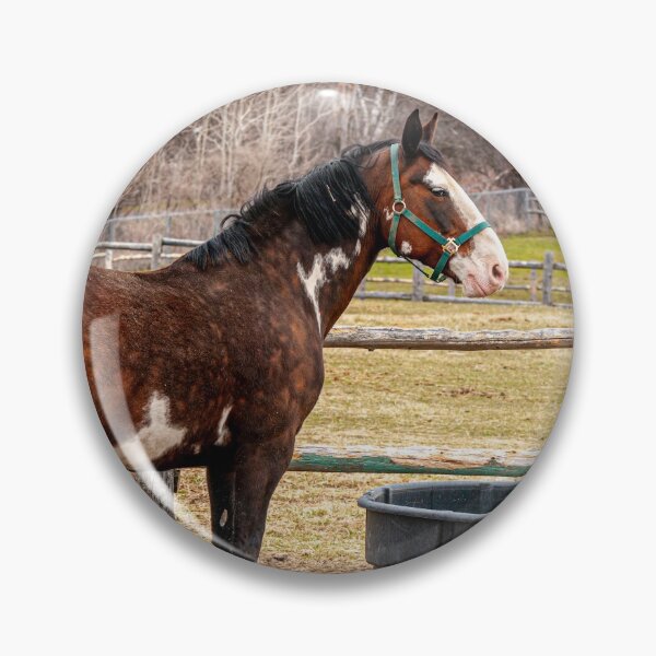 Item preview, Horse In Paddock designed and sold by Michael Cummings.