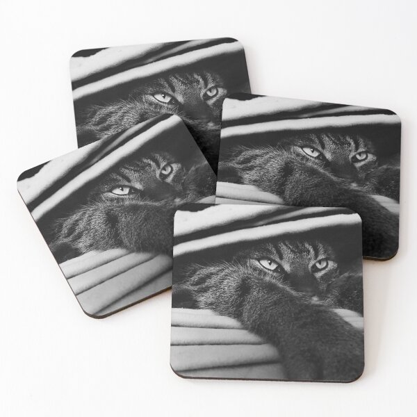 Item preview, Cat in black and white 2 | Wildlife photography designed and sold by Mii-pics.