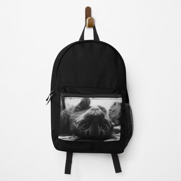 Item preview, Cat in black and white 3 | Wildlife photography designed and sold by Mii-pics.