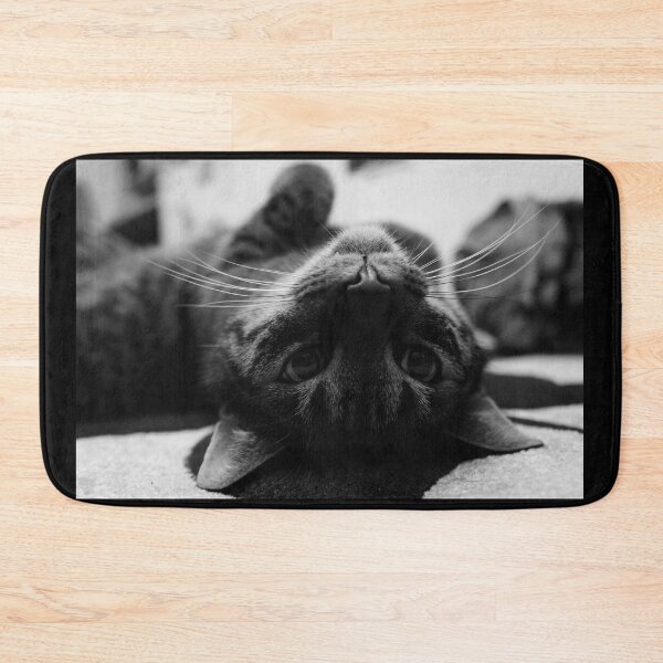 Item preview, Cat in black and white 3 | Wildlife photography designed and sold by Mii-pics.