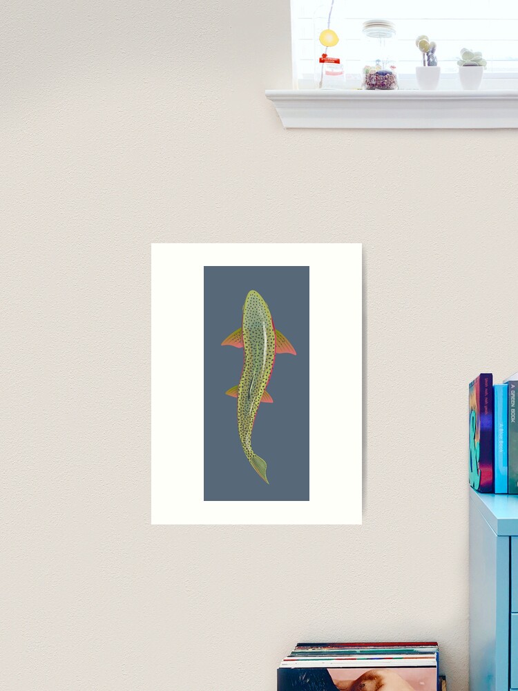 Birch Lane Brier Trout Prints Under Framed On Glass 4 Pieces Print