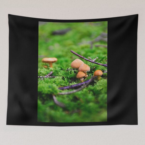 Item preview, Mushrooms in the moss | Nature photography designed and sold by Mii-pics.