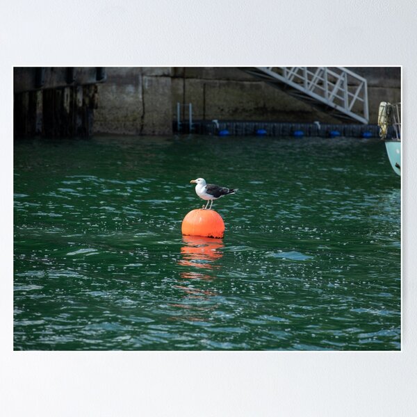 Item preview, Bobbing along! designed and sold by LisaRoberts.