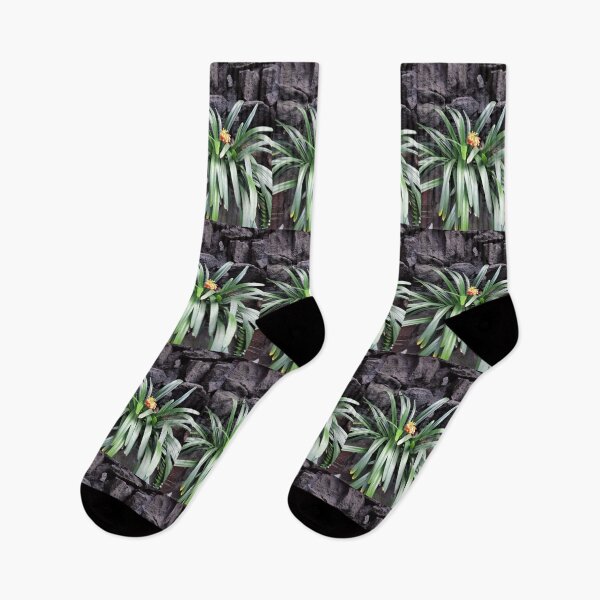 Item preview, cactus,cactus garden,lanzarote,flowers,Tropical Botanical Exotic Palm canary  Island Jungle Paradise  designed and sold by ADAMYASS.